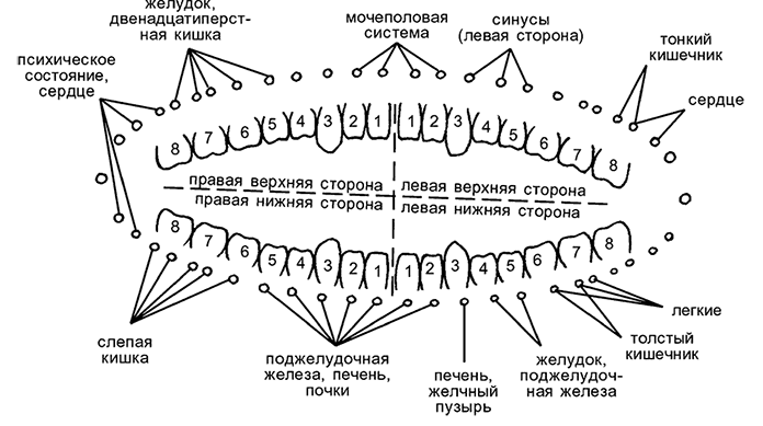 Целебная натуротерапия