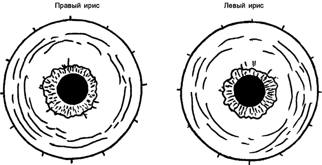 Целебная натуротерапия