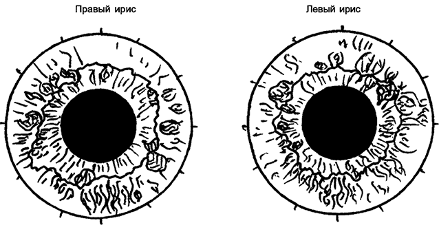 Целебная натуротерапия