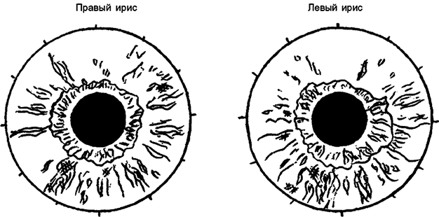 Целебная натуротерапия