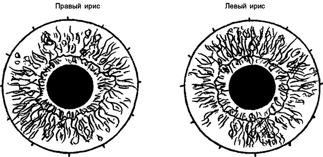 Целебная натуротерапия