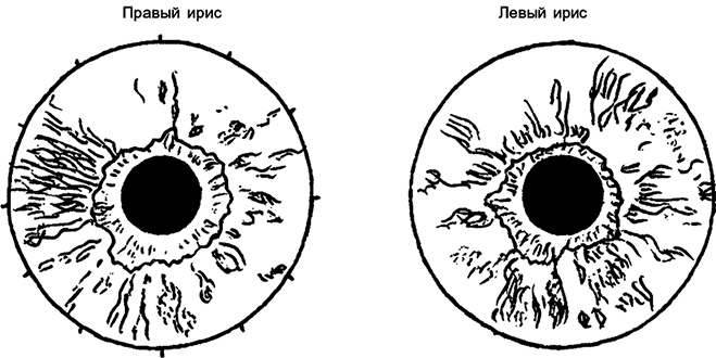 Целебная натуротерапия