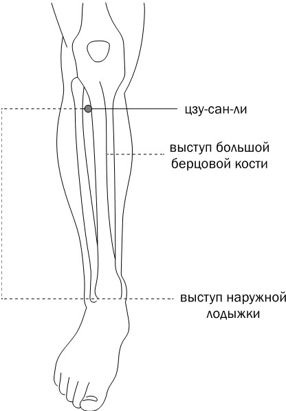 Активное долголетие. Упражнения для крепкого здоровья, бодрости, иммунитета