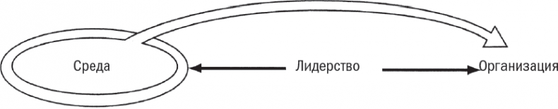 Менеджмент: Природа и структура организаций