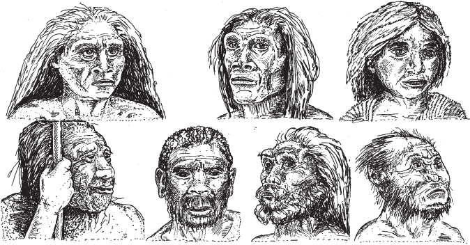 Эволюция человека. Книга 3. Кости, гены и культура