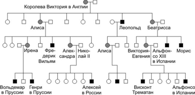 Генетика на пальцах