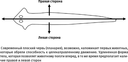 Путеводитель зоолога по Галактике. Что земные животные могут рассказать об инопланетянах – и о нас самих