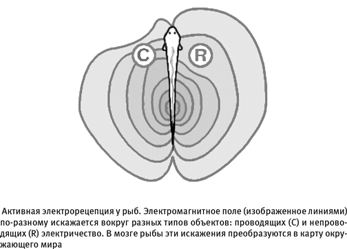 Путеводитель зоолога по Галактике. Что земные животные могут рассказать об инопланетянах – и о нас самих