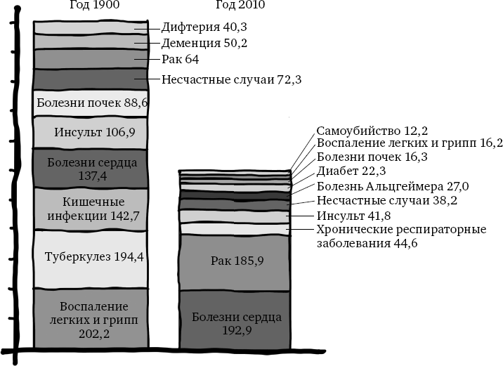 X-фактор здорового веса. Как добиться естественной стройности, позаботившись о кишечнике