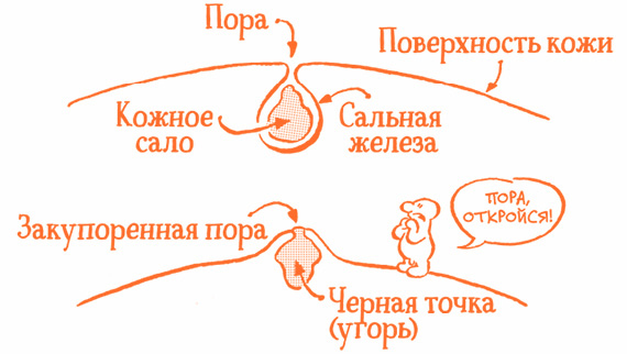 Парням о важном. Все, что ты хотел знать о взрослении, изменениях тела, отношениях и многом другом