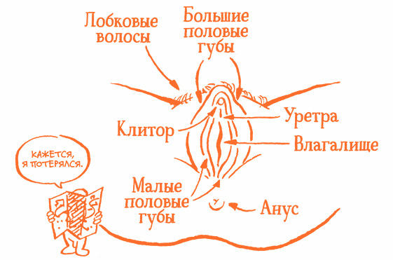 Парням о важном. Все, что ты хотел знать о взрослении, изменениях тела, отношениях и многом другом