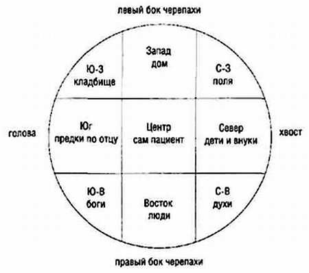 Введение в тибетскую медицину. Здоровье и равновесие