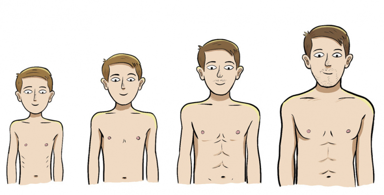 Как устроены мальчики. О переменах в росте, весе, голосе, а также о гигиене и питании