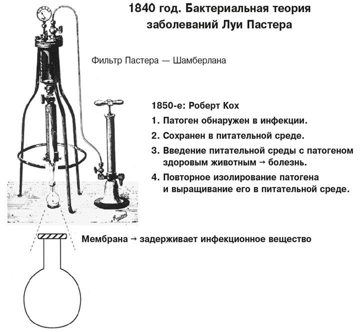 Вирусы и эпидемии в истории мира. Прошлое, настоящее и будущее