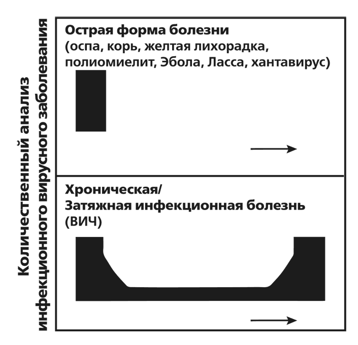 Вирусы и эпидемии в истории мира. Прошлое, настоящее и будущее