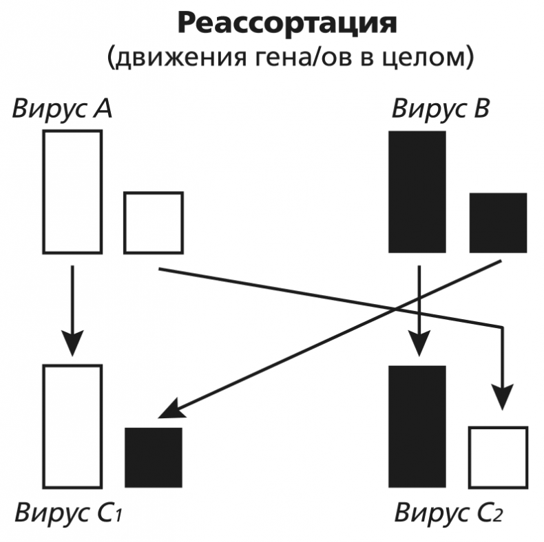 Вирусы и эпидемии в истории мира. Прошлое, настоящее и будущее