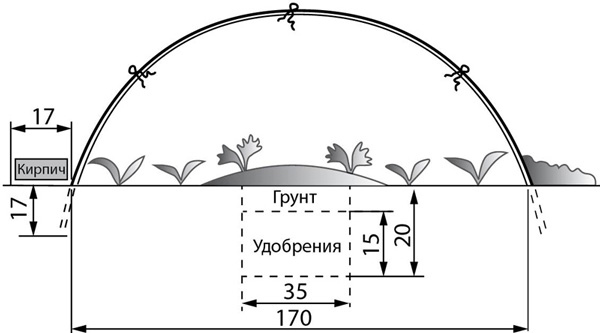 Теплицы и парники. Секреты раннего урожая