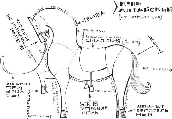 Сияющий Алтай. Горы, люди, приключения