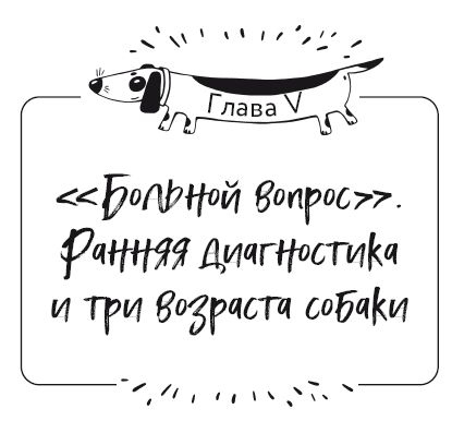 Разумное собаководство. Советы ветеринара, как воспитать и вырастить щенка здоровым