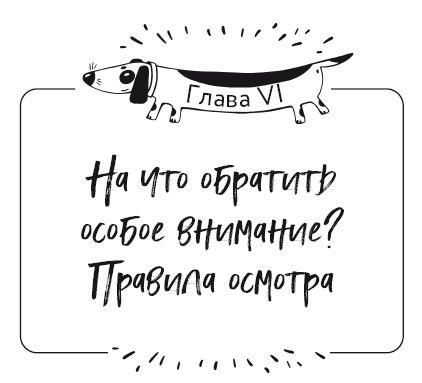 Разумное собаководство. Советы ветеринара, как воспитать и вырастить щенка здоровым