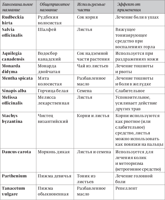 Колдовские травы. Ведьмовской путеводитель по тайным силам растений