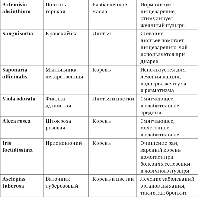 Колдовские травы. Ведьмовской путеводитель по тайным силам растений