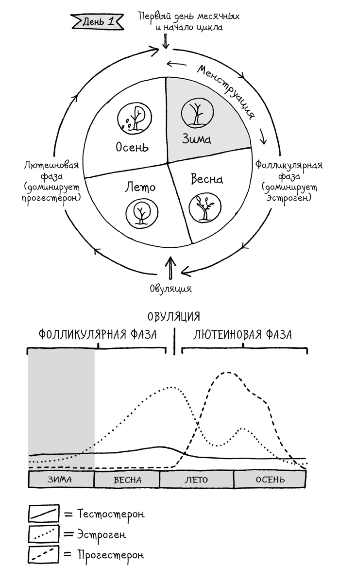 Сила цикла. Как использовать непостоянство гормонов, чтобы жить на полную