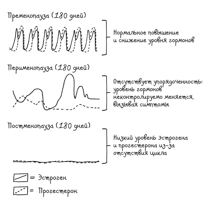 Сила цикла. Как использовать непостоянство гормонов, чтобы жить на полную