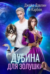 Книга Дубина для Золушки