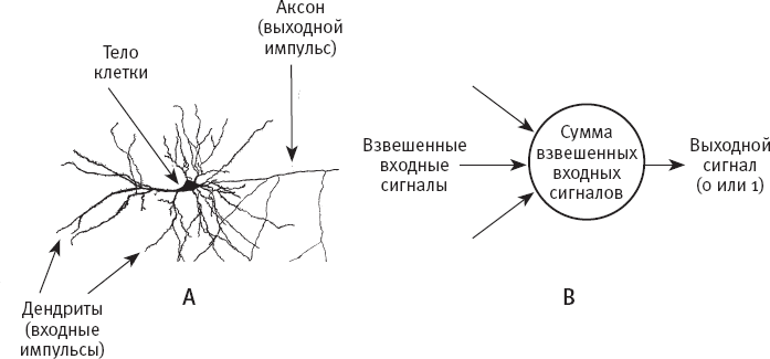 Идиот или гений? Как работает и на что способен искусственный интеллект