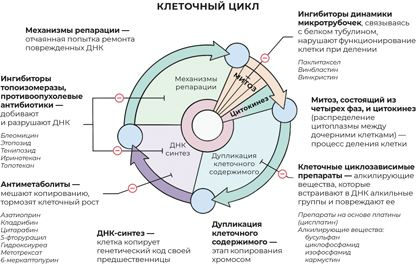 Пять литров красного. Что необходимо знать о крови, ее болезнях и лечении