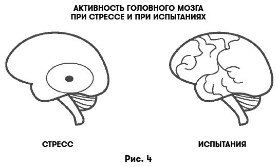 Цифровая дисциплина. Воспитание здоровых привычек в мире гаджетов и соцсетей