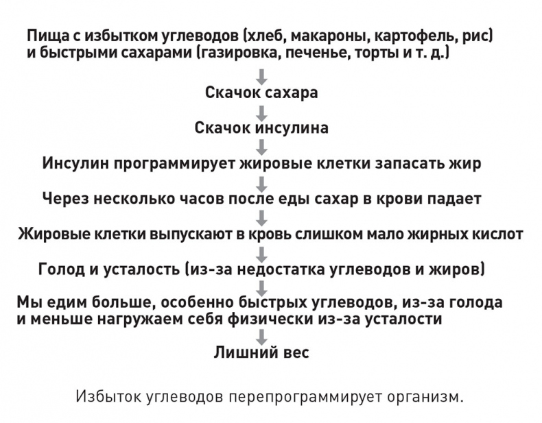 Кодекс долголетия. Что заставляет нас стареть, зачем это нужно и как «обмануть» эволюцию: пошаговое руководство