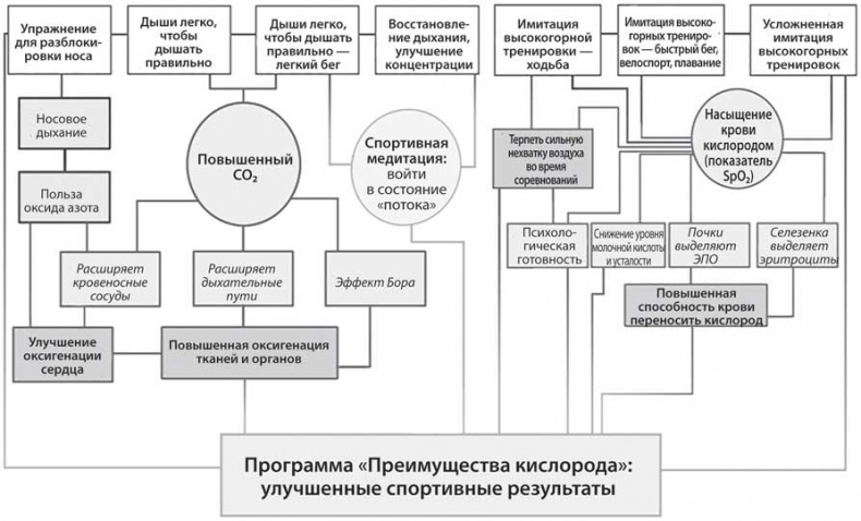 Лечебное дыхание. Новые методики оздоровления по системе доктора Бутейко