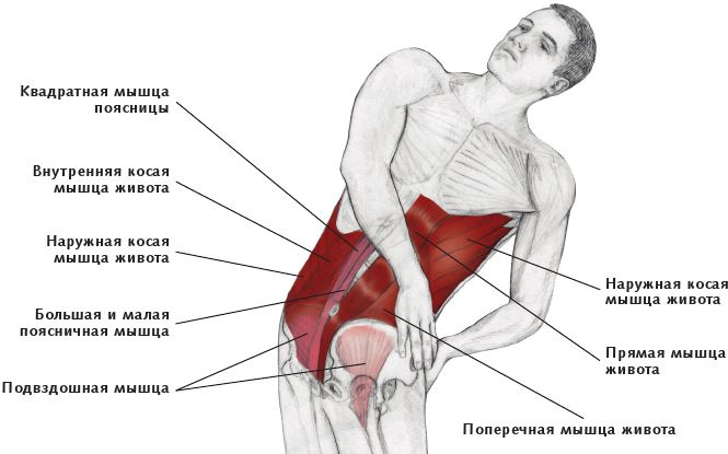 Анатомия стретчинга