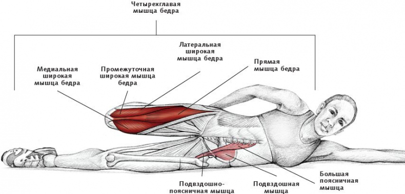 Анатомия стретчинга