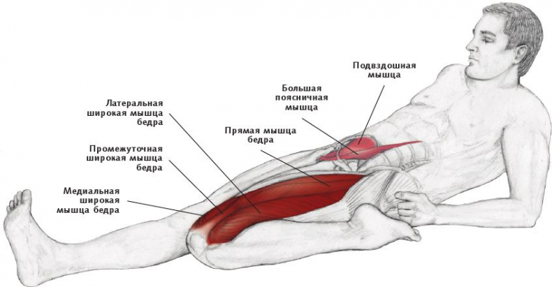 Анатомия стретчинга