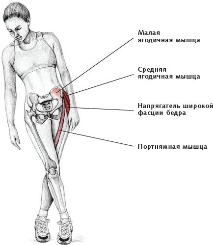 Анатомия стретчинга