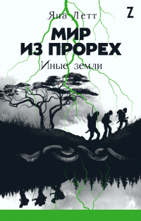 Книга Мир из прорех. Иные земли