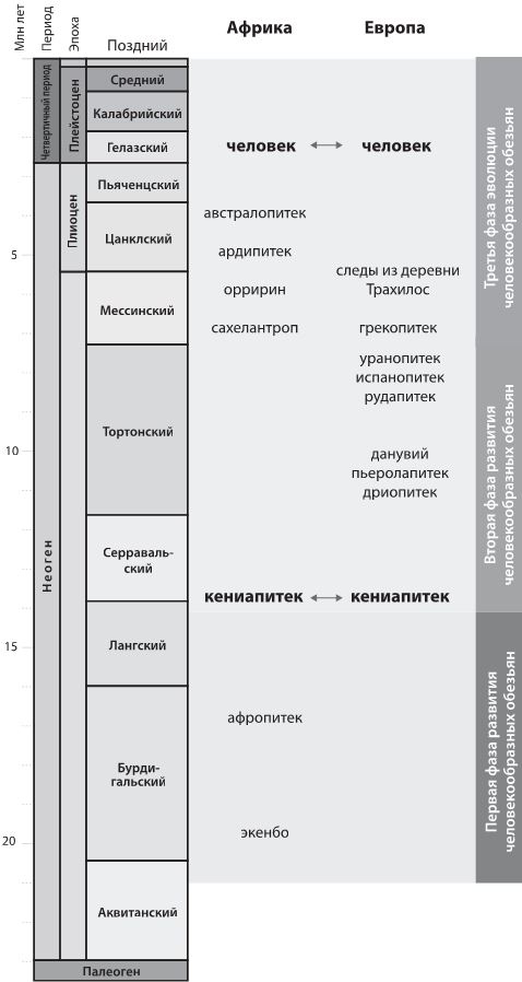 Как мы стали людьми. Поиски истоков человечества