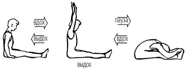 Сердце йоги. Принципы построения индивидуальной практики. «Йога-сутры» Патанджали. «Йоганджалисара» Шри Кришнамачарья