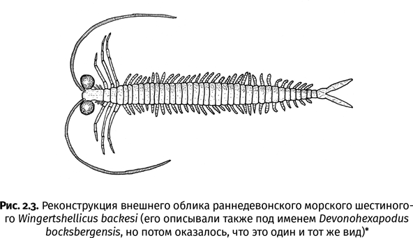 Краткая история насекомых. Шестиногие хозяева планеты