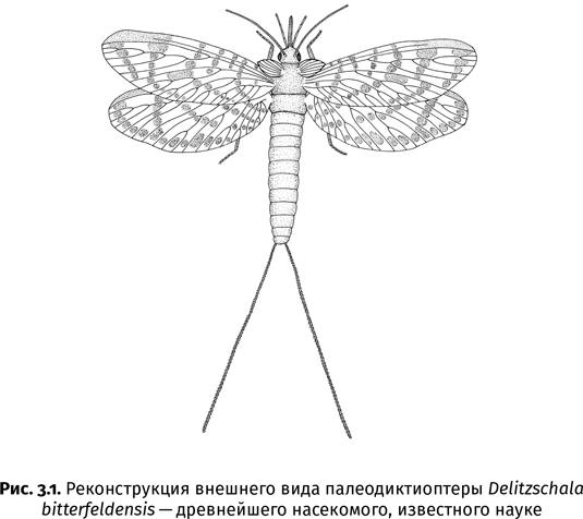 Краткая история насекомых. Шестиногие хозяева планеты