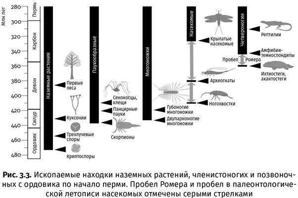 Краткая история насекомых. Шестиногие хозяева планеты