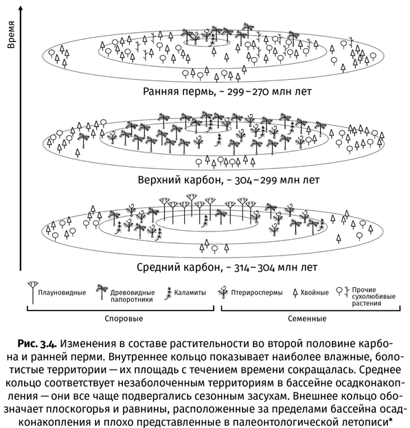 Краткая история насекомых. Шестиногие хозяева планеты