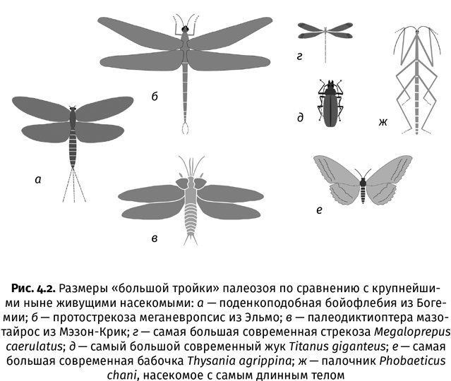 Краткая история насекомых. Шестиногие хозяева планеты