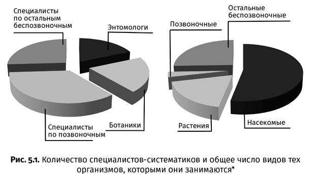 Краткая история насекомых. Шестиногие хозяева планеты