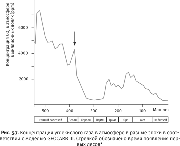 Краткая история насекомых. Шестиногие хозяева планеты