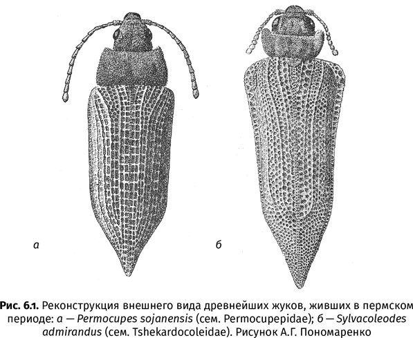 Краткая история насекомых. Шестиногие хозяева планеты