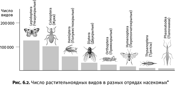 Краткая история насекомых. Шестиногие хозяева планеты